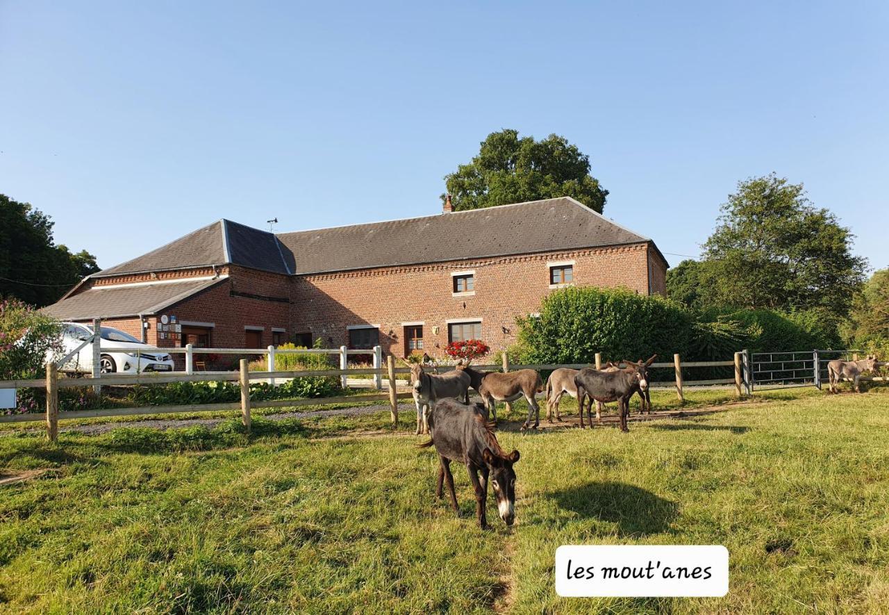 Les Mout'Anes Bed and Breakfast Saint-Hilaire-sur-Helpe Buitenkant foto