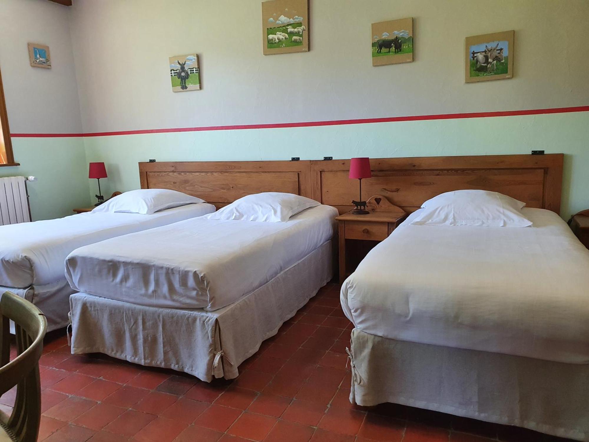 Les Mout'Anes Bed and Breakfast Saint-Hilaire-sur-Helpe Buitenkant foto