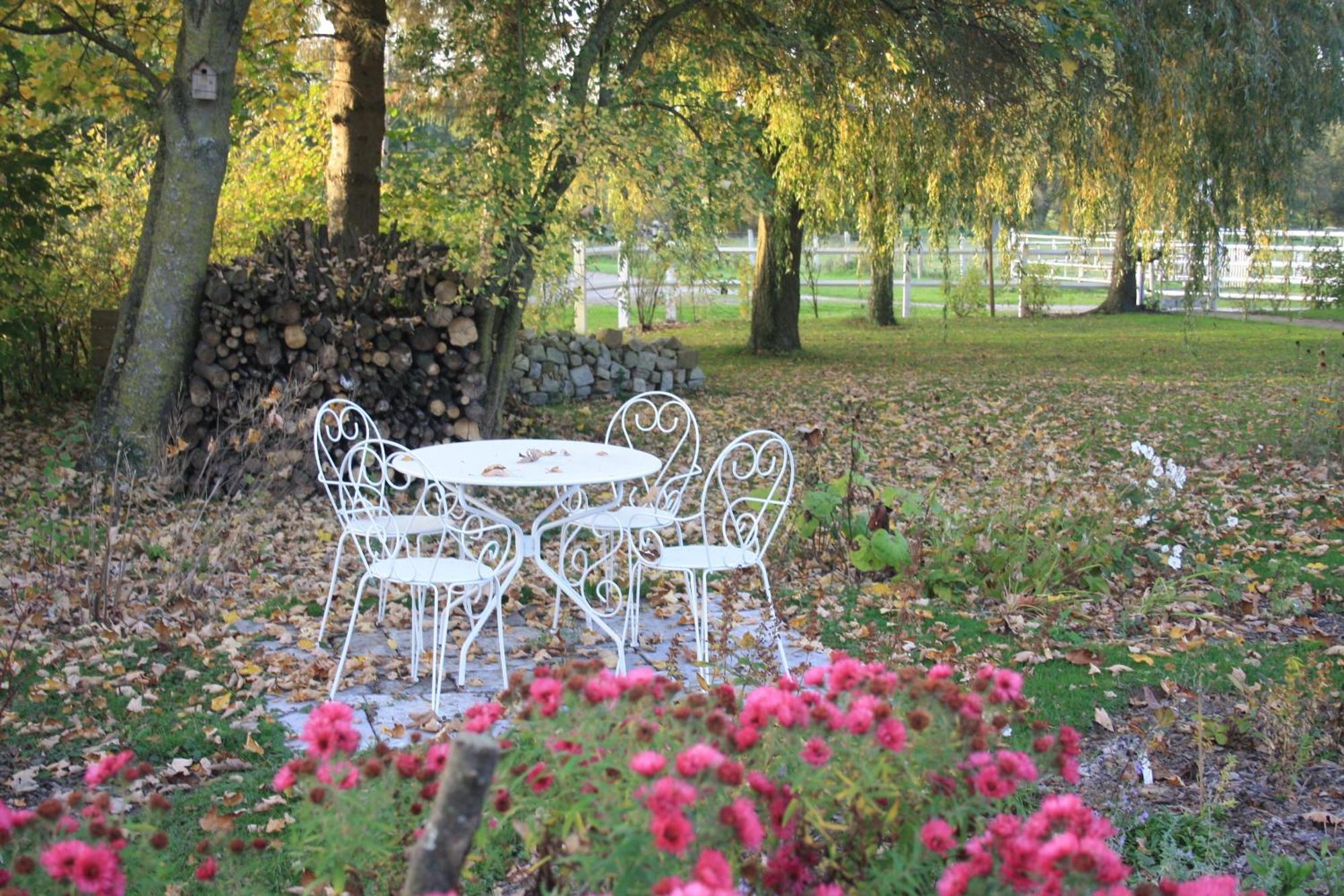 Les Mout'Anes Bed and Breakfast Saint-Hilaire-sur-Helpe Buitenkant foto