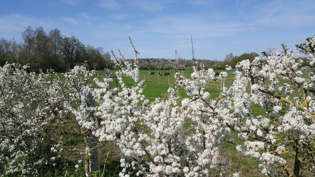 Les Mout'Anes Bed and Breakfast Saint-Hilaire-sur-Helpe Buitenkant foto